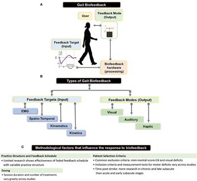 Biofeedback for Post-stroke Gait Retraining: A Review of Current Evidence and Future Research Directions in the Context of Emerging Technologies